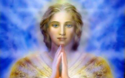 Van video-vonk naar krachtige video. Het verhaal van Greet