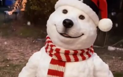 Maak een sneeuwpop-video met AI in CapCut (zonder Pro abonnement)